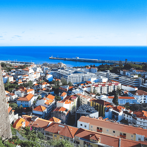 Explore the charming city of Funchal, boasting many cool restaurants and fun bars