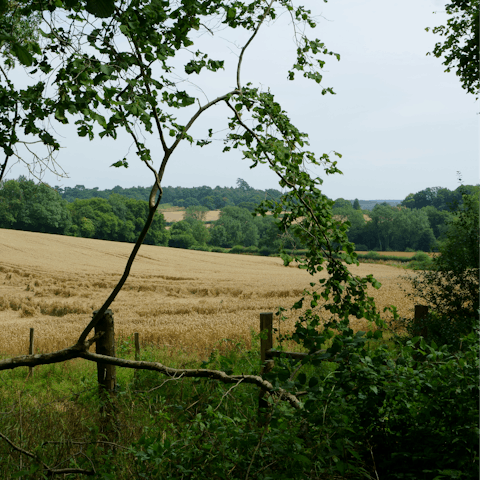 Explore Surrey's picturesque countryside, just a short drive or train ride from London