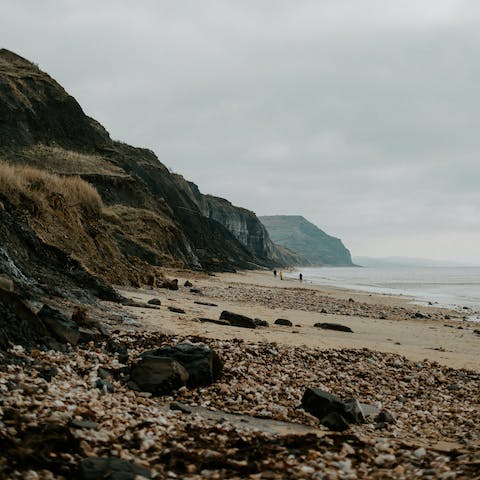 Hunt for fossils on Charmouth Beach – it's ten minutes away by car