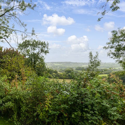 Enjoy stunning views over the cow meadow and out to Somerset