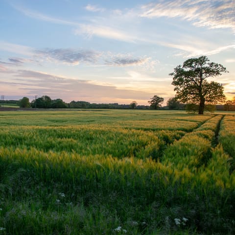 Head out on hikes in rural Oxfordshire