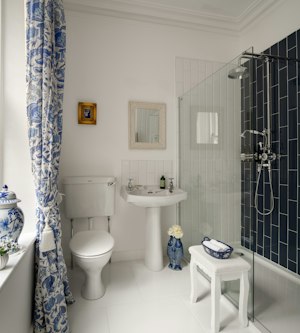 Baronial Bliss image 7