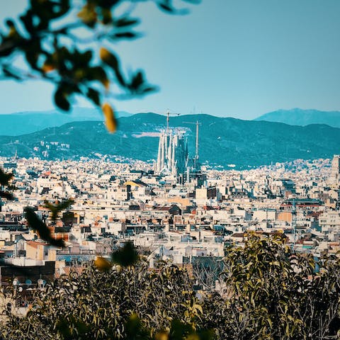 Make the half hour walk to La Sagrada Familia