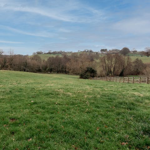 Stay in the middle of the Monmouthshire countryside, away from it all