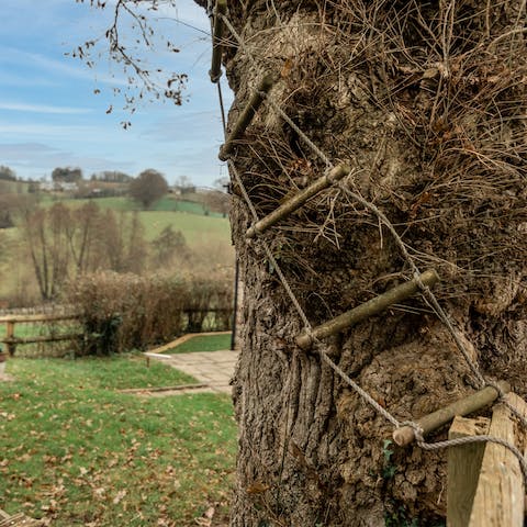 Let the kids explore the garden with climbing ropes and tree swings