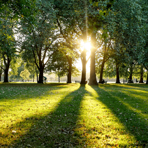 Enjoy a morning stroll through Hyde Park, a short walk away