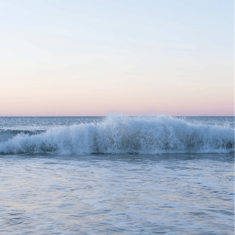 Explore the beautiful beaches of East Hampton 