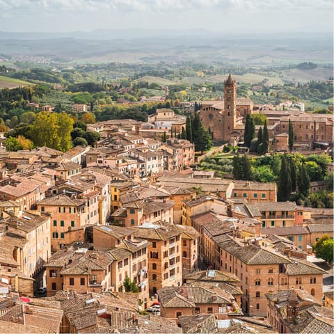 Discover the surrounding hillside villages, starting in Montepulciano, just a twenty-three minute drive away