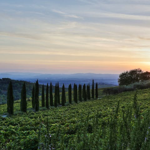 Walk around the vineyards that surround this Chianti wine region home