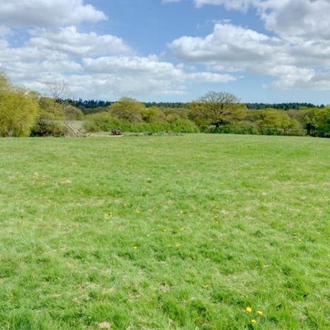 Admire the views over the wildflower meadows to Orlestone Forest 
