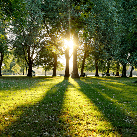 Soak up the sunshine in Hyde Park, a twenty-minute walk away