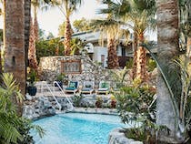 Recharge at Two Bunch Palms
