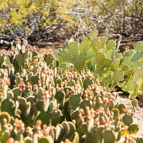 Look out at the beautiful desert surroundings