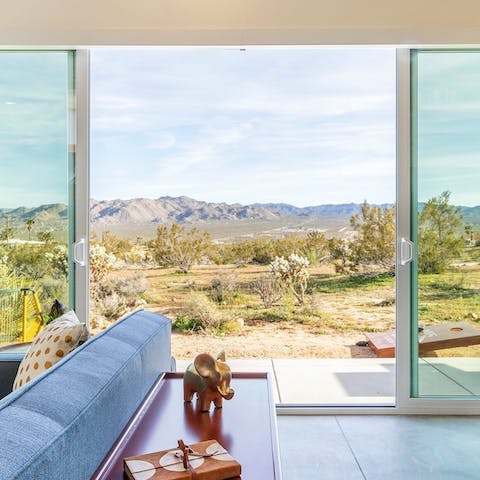 Immerse yourself in desert views