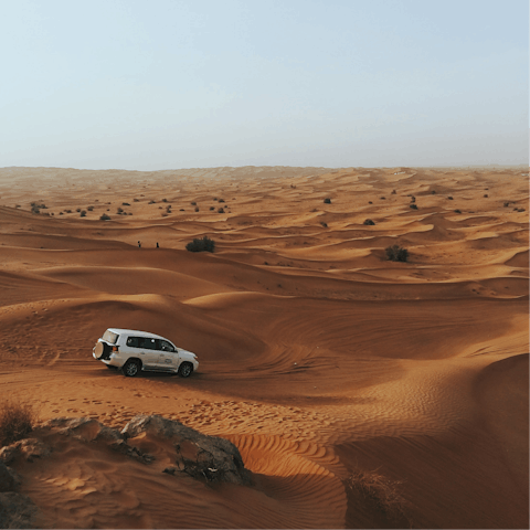 Organise an unforgettable off-road desert driving experience through the resort's concierge