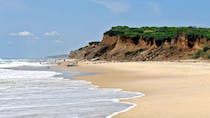 Explore Ditch Plains Beach