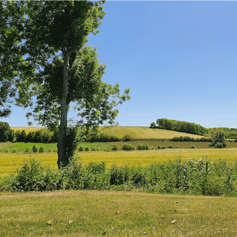 Explore the lush green countryside of nearby Sainte-Baume Natural Park