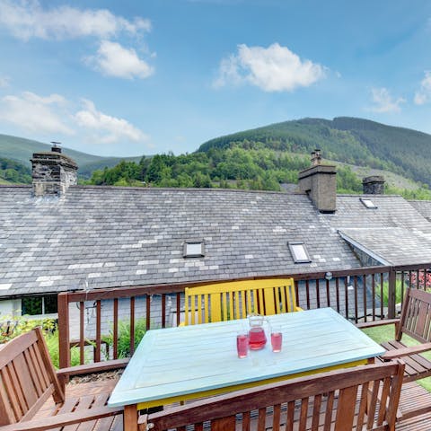 Spot the iconic Cadair Idris mountain peak from your private terraced garden