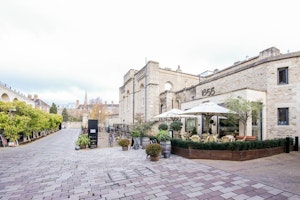 The Alice image 10