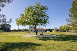 In Provence image 7
