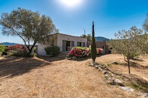Maison Olive image 12