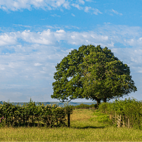 Make use of the many nearby hiking trails