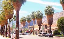 Shop for Mid Century Designs at Destination PSP