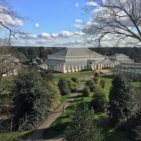 Amble the grounds of Kew Gardens, just a ten-minute walk away