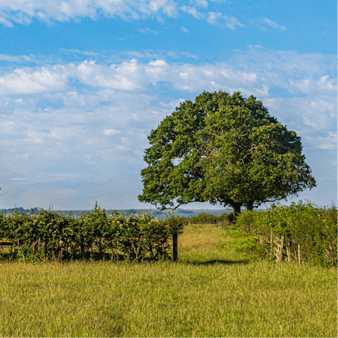 Explore the gorgeous rolling countryside of Cornwall, right on your doorstep