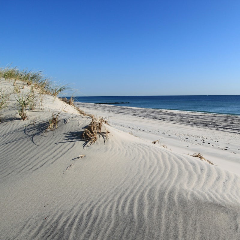 Explore the dunes of those famous Hamptons beaches