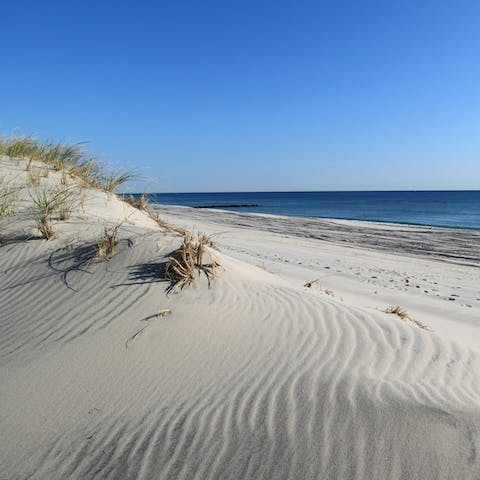Explore the dunes of those famous Hamptons beaches