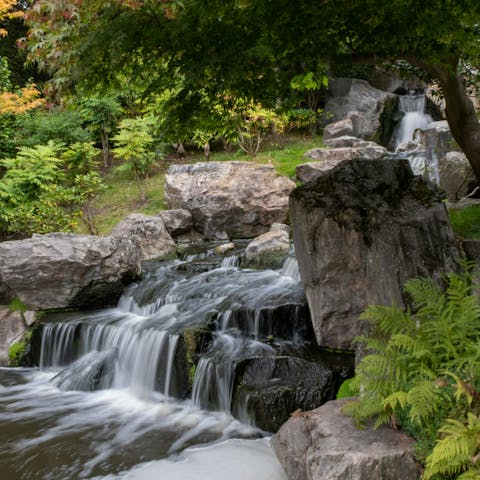 Take the short stroll to Holland Park and explore the Kyoto Garden