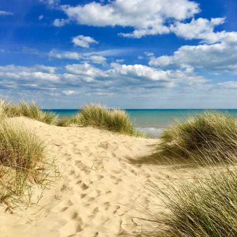 Stay within walking distance of Camber Sands beach