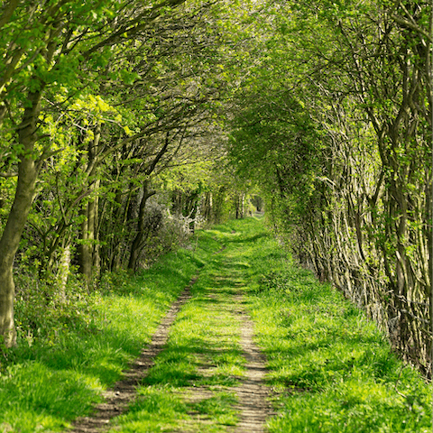 Discover rural Cheshire from your base in Arley