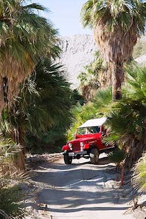 Explore Desert Adventures - Red Jeep Tours