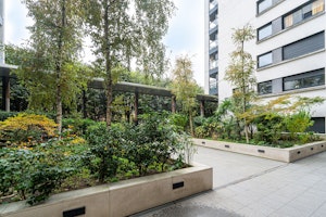 Modern Sage image 7