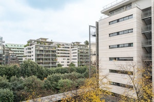 Modern Sage image 6
