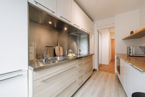 Modern Sage image 4