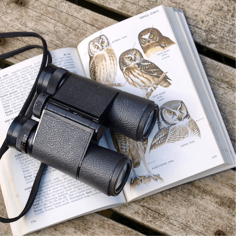 Go bird watching at RSPB Titchwell, just over fifteen minutes in the car