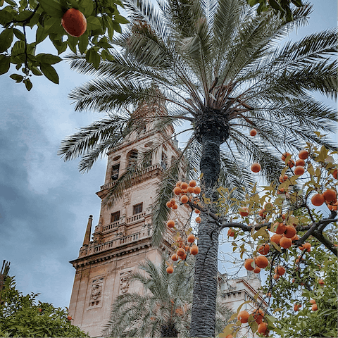 Explore Cordoba's Old Town, including the majestic cathedral
