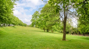 Ridgeview image 12