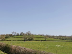 A Somerset Love Affair image 6
