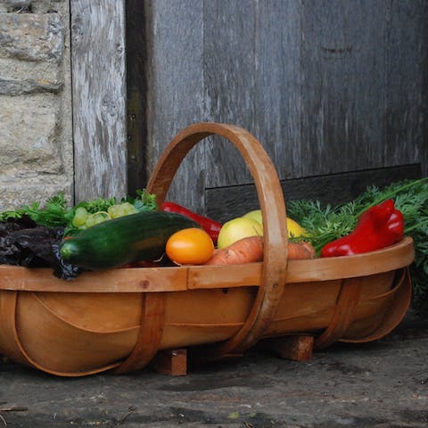 Buy some fresh produce from the farm, including organic vegetables and flowers