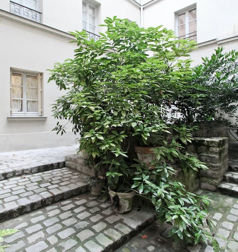 The calm of the courtyard below