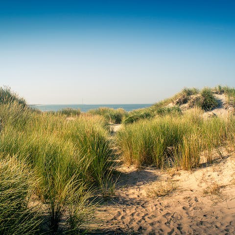 Sink your toes into the sand of Renesse Strand, a seventeen-minute stroll away