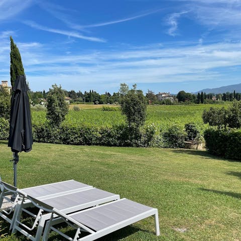 Laze on sun loungers as you take in the beauty of the  Fattoria Sardi vineyards