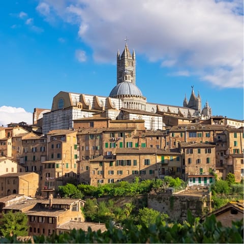 Spend a day admiring the historic sights of Siena