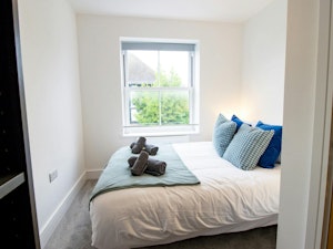 Shore Haven image 4