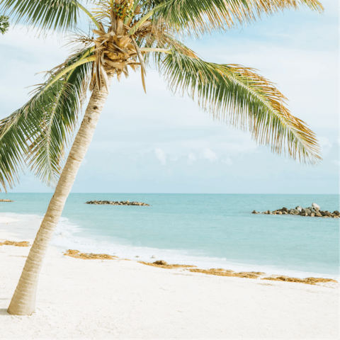 Lounge on the soft sands of Higgs Beach