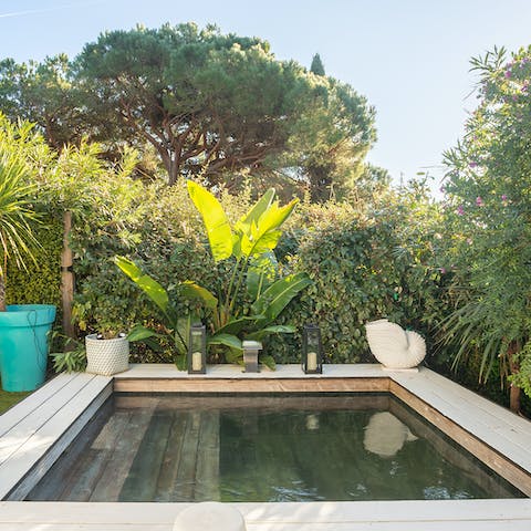 Cool off from the summer heat with a dip in the plunge pool